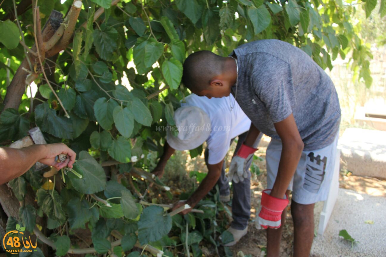 lajna ekram j83 (42).jpg